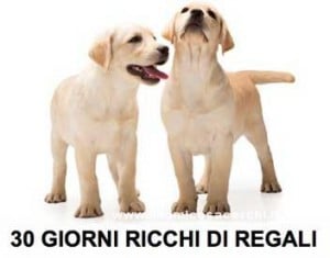 Regali omaggio da Purina