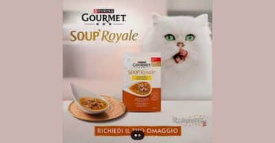Campioni omaggio Gourmet Soup royale