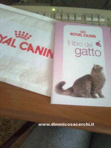libro del gatto