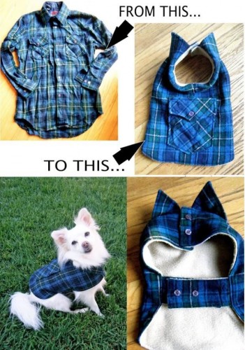 Vestito per cani con una camicia