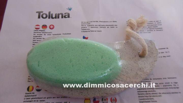 spugna toluna