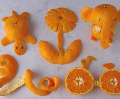 Animali fatti con buccia di arancia