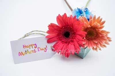 Idee regalo per la festa della mamma