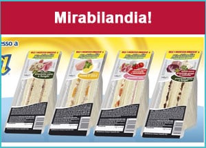 Buono sconto ingresso Mirabilandia