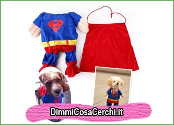 vestiti simpatici per cani