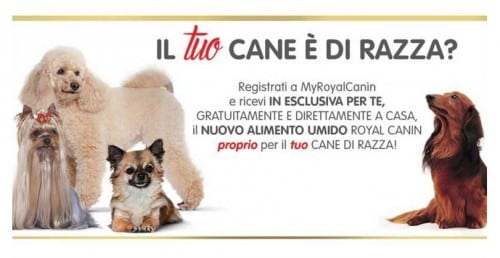 Royal Canin Campioni omaggio alimento umido