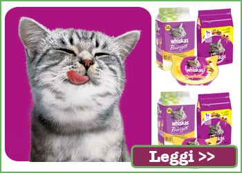 Whiskas Pranzetti - Diventa tester con The Insiders