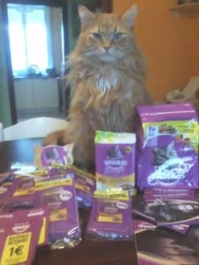 tester whiskas pranzetti