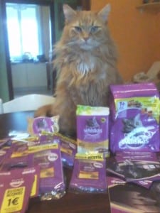 tester whiskas pranzetti