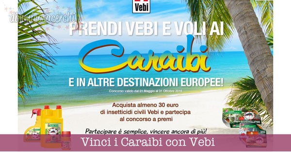 Vinci i Caraibi con Vebi