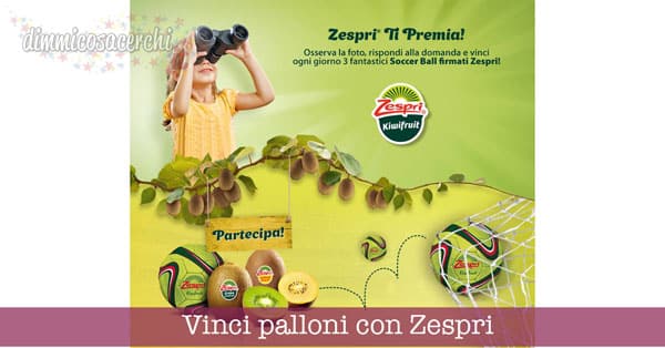 Concorso Zespri, vinci palloni