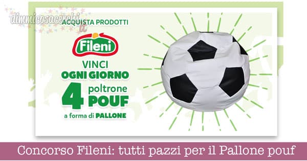 Concorso Fileni: tutti pazzi per il Pallone pouf