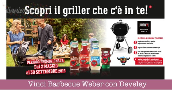 Vinci Barbecue Weber con Develey