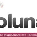 Come guadagnare con Toluna