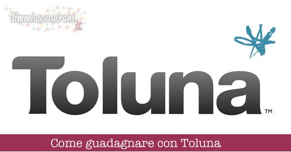 Come guadagnare con Toluna