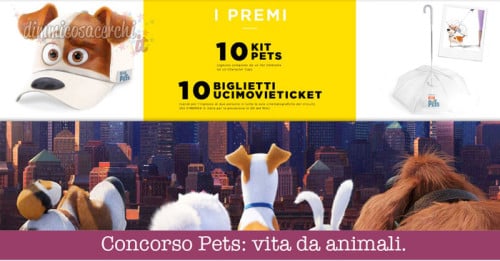 Concorso Pets