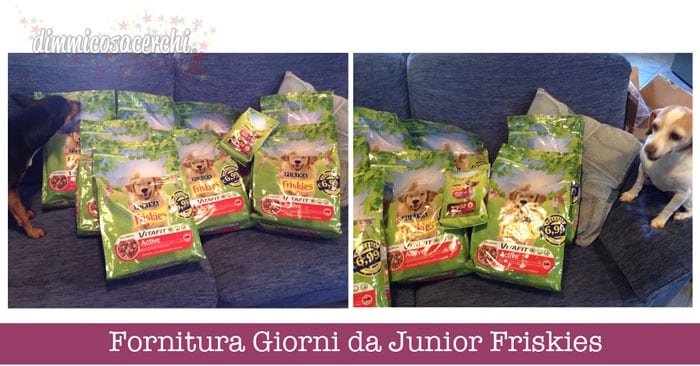 Fornitura Giorni da Junior Friskies