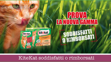 KiteKat soddisfatti o rimborsati