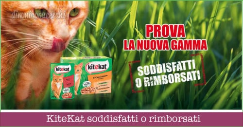 KiteKat soddisfatti o rimborsati