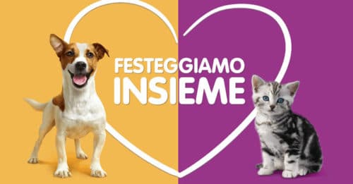 Concorso World Animal Day