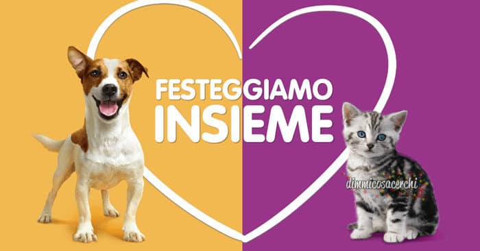 Concorso World Animal Day