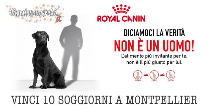 concorso royal canin