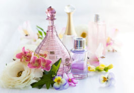 concorso accademia del profumo