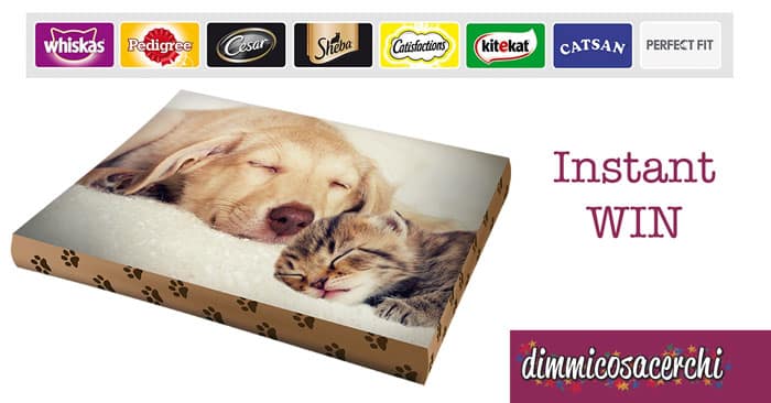Vinci un cuscino personalizzato con "Pet lover days"
