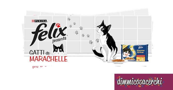 Concorso Felix "Gatti da marachelle": vinci forniture!