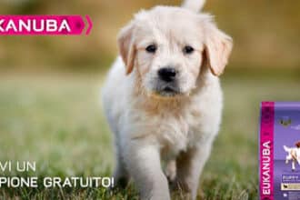 Eukanuba campioni omaggio