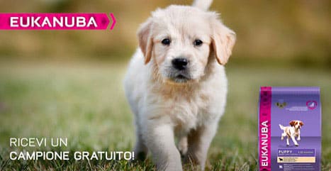 Eukanuba campioni omaggio