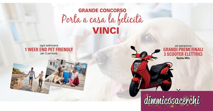 Concorso Maxizoo