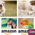 Prodotti per animali domestici su Amazon