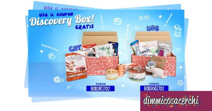 Discovery Box in regalo su Bauzaar