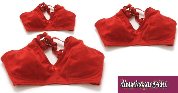 Dove comprare reggiseni per taglie forti a basso costo