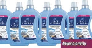 Felce Azzurra cenere vulcanica