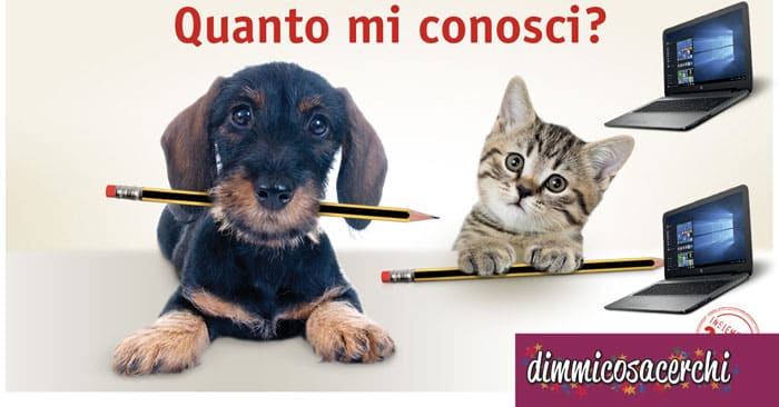 Vinci 2 notebook HP alla settimana con Purina