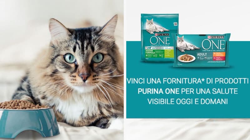 Concorso #salutevisibile: vinci fornitura Purina One gatto