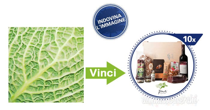 Concorso Stocker: vinci gratis 10 cesti di prodotti alimentari!