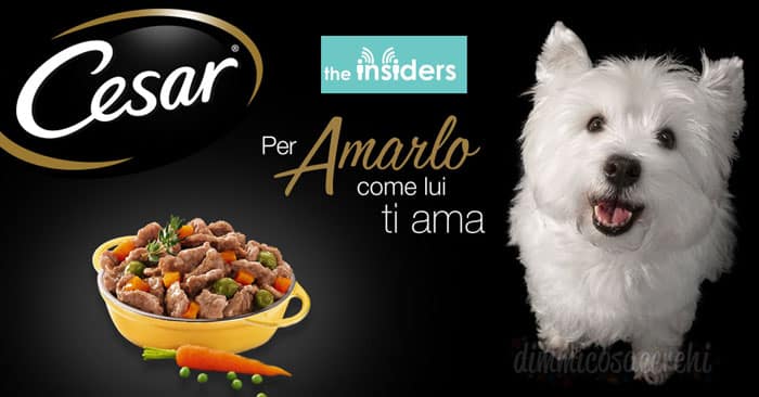 Diventa tester prodotti Cesar per il cane: 1.500 tester da selezionare!