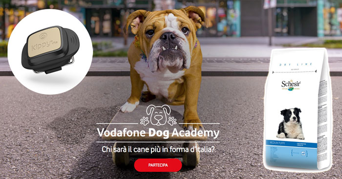 Vodafone Dog Accademy: iscriviti e vinci V-Pet e fornitura di Schesir