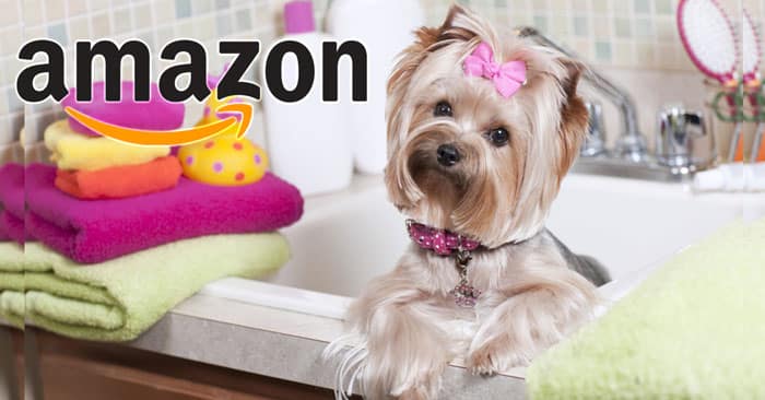 Amazon Pet Star: partecipa gratis