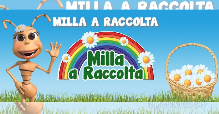 Milla a Raccolta edizione 2018