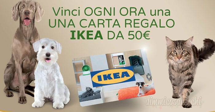 Ultima cane e gatto: vinci ogni ora carte Ikea