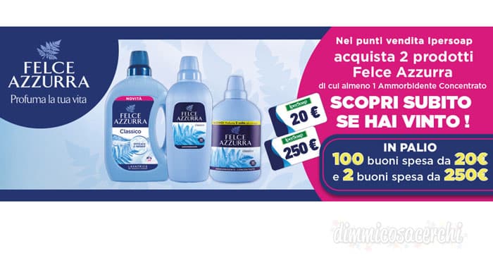 Concorso Felce Azzurra in Ipersoap