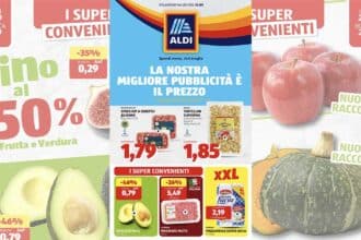 volantino Aldi settembre 2026 offerte avocado formaggi e grandi marchi