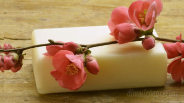 Sapone liquido fatto in casa