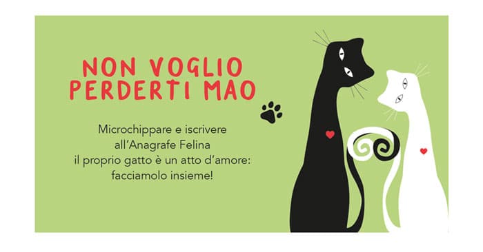 Microchip felino: gratis a Pordenone