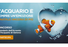 Concorso Acquario di Genova: calendario dell'Avvento