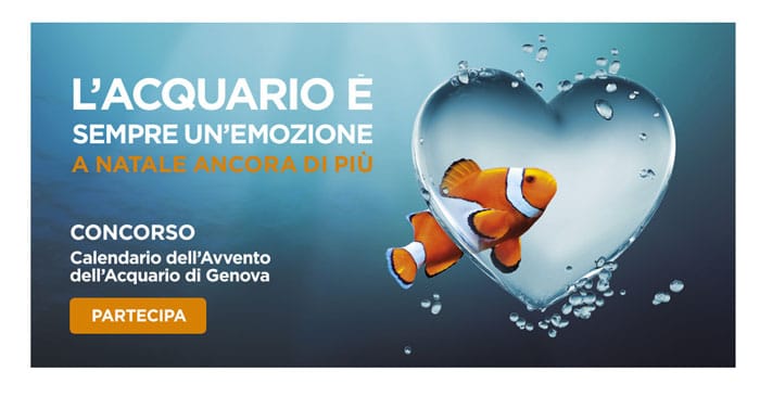 Concorso Acquario di Genova: calendario dell'Avvento